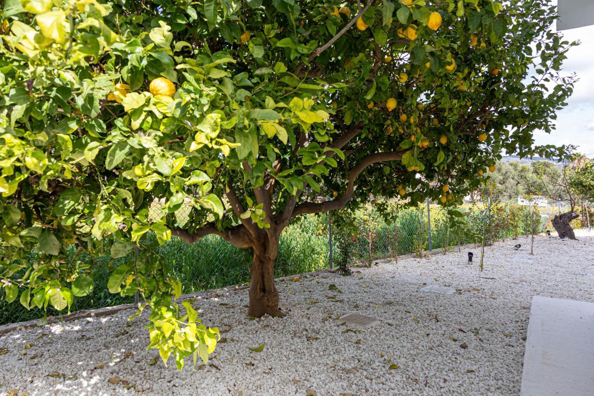 Villa Yolo Peyia Bagian luar foto